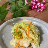 ビニール袋で❣️白菜の浅漬け生姜味